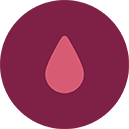 Icone absorbtion - Period Panties - Newex - newexprotection.com - Culottes menstruelles